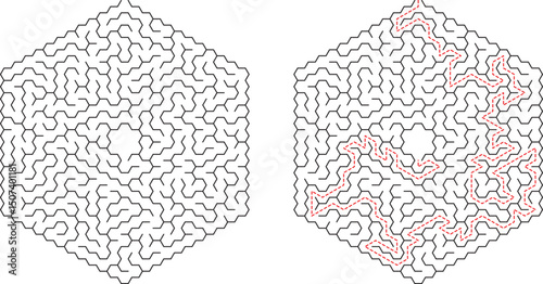 Hexagonal Maze Puzzle Solution Complex Pathfinding Brain Teaser