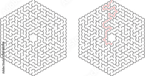Hexagonal Maze Puzzle Solution Pathfinding Game Brain Teaser