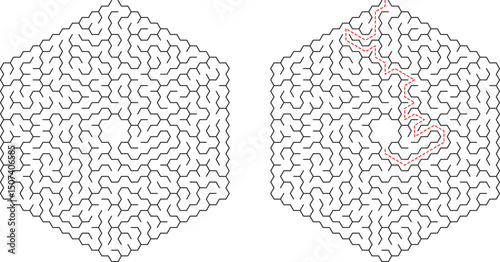 Hexagonal Maze Puzzle Solution Pathfinding Game Challenge Logic Brain Teaser