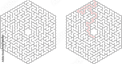 Hexagonal Maze Puzzle Solution, Path, Labyrinth, Game, Challenge, Brain Teaser, Strategy, Complex