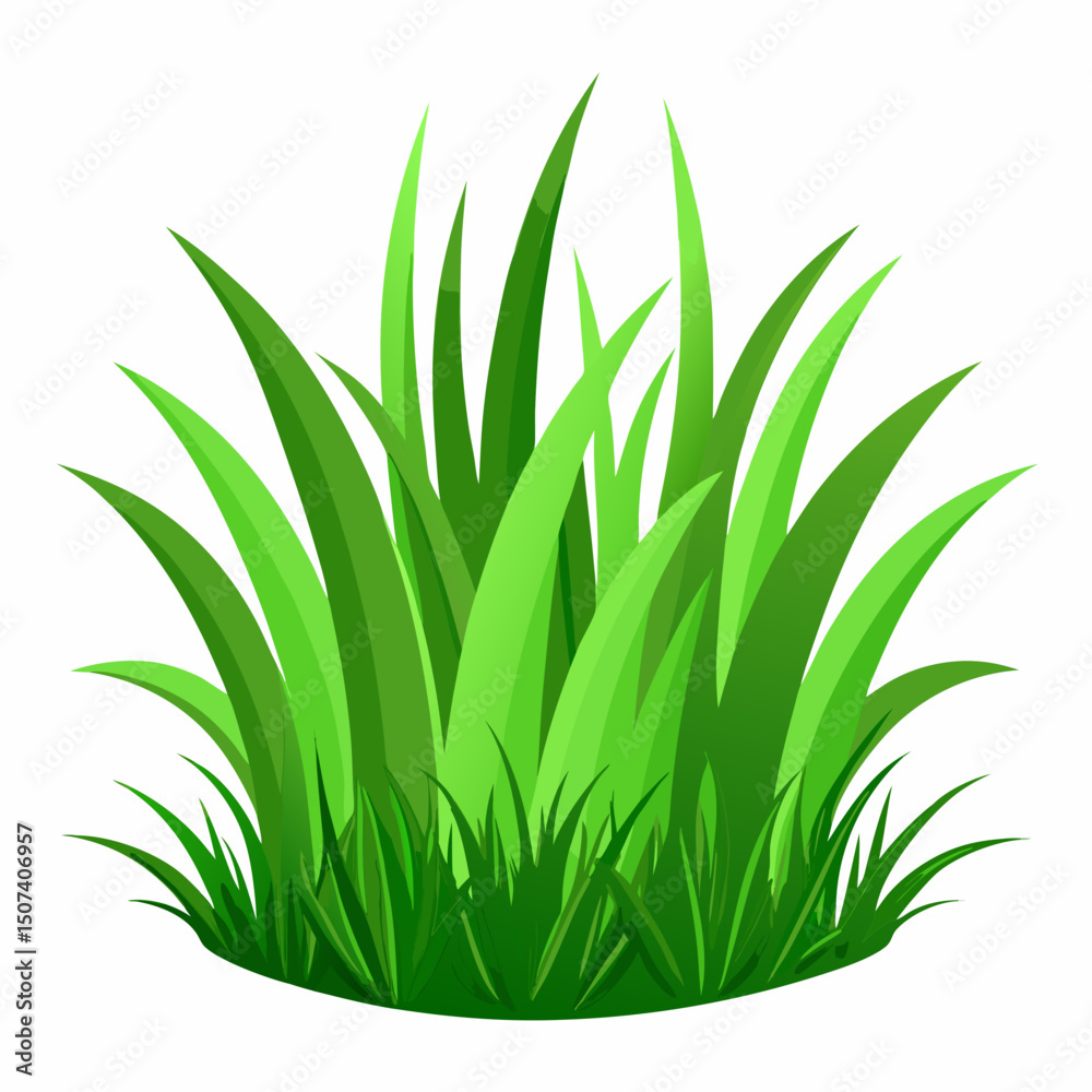 Fototapeta premium Green grass isolated on white 