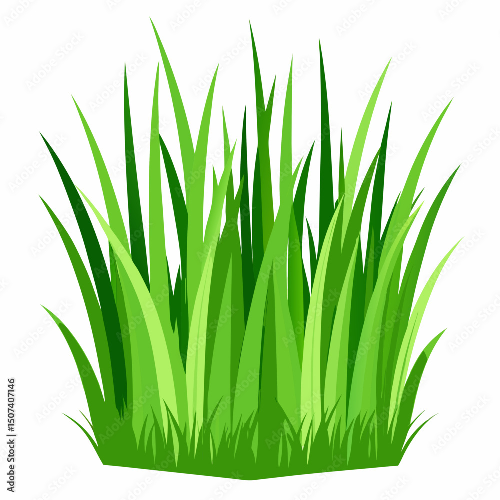 Fototapeta premium Green grass isolated on white 