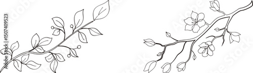 Delicate floral branches with leaves outlines on white background for wedding designs and floral templates