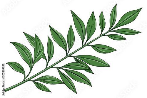 High resolution botanical illustration of a fresh flower