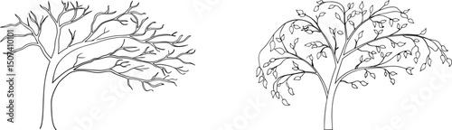 Simple illustrated trees showing seasonal variations between bare branches and leafy foliage