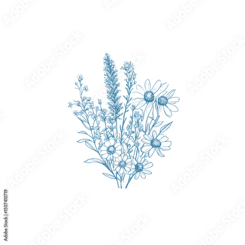 wildflower line art botanical drawings 