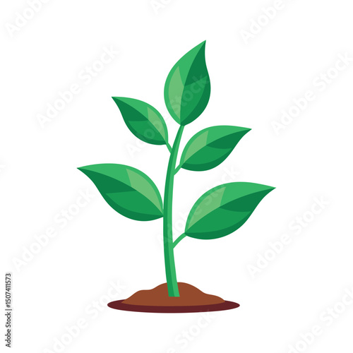 Botanical Plant Color Vector Design