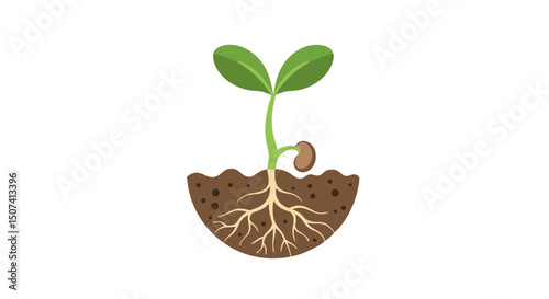 Illustration of a growing sapling with roots in the soil on a transparent background, symbolizing growth and nature
