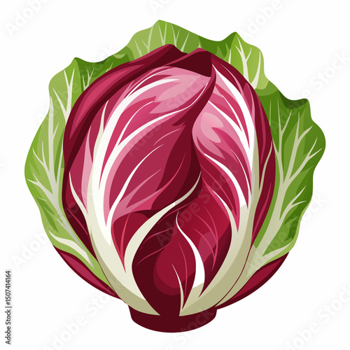 red cabbage isolated on white