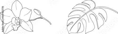 Elegant black and white line drawing of an orchid flower and monstera leaf