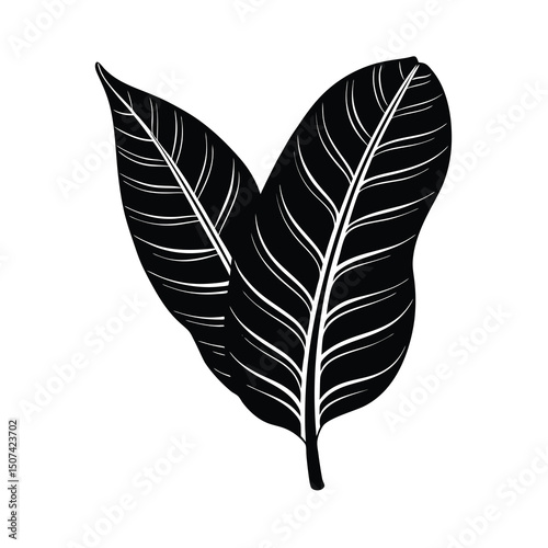 tropical green banana leaf vector