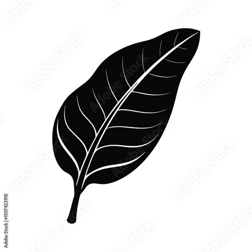 tropical green banana leaf vector