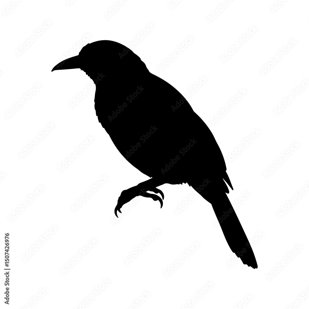 Fototapeta premium Yellow rumped cacique silhouette icon vector flat design on white background