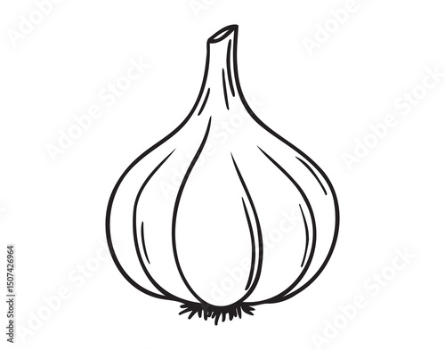 garlic doodle hand drawn icon. Outline drawing garlic line clipart symbol