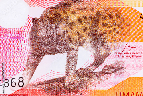 50 Piso Philippines, New Polymer Note 2025 with Visayan Leopard. Philippine Money