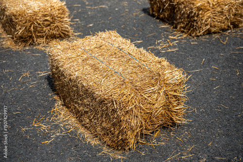 Obraz na płótnie Straw bale installation on city street during street fair w salonie