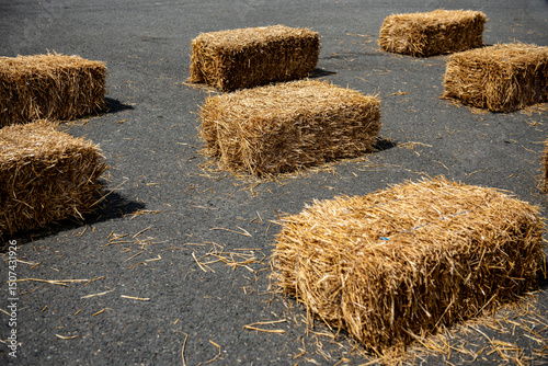 Obraz na płótnie Straw bale installation on city street during street fair w salonie