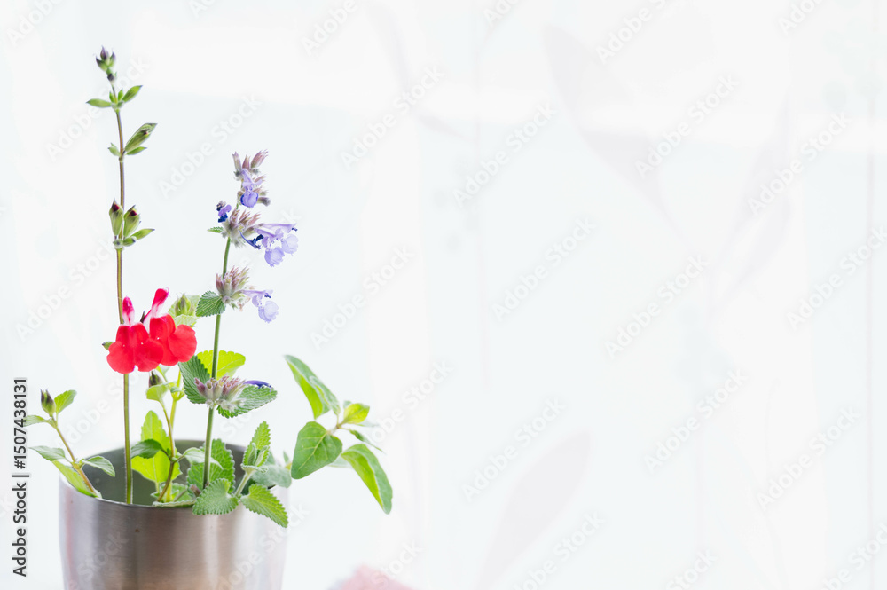 Obraz premium 部屋に飾ったハーブ