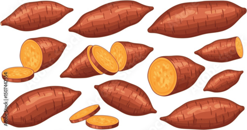 vector set of Baked potato, sweet potato illustration Shizuru, real, photo, autumn 