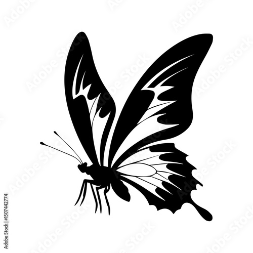 Silhouette of a butterfly with intricate wing patterns