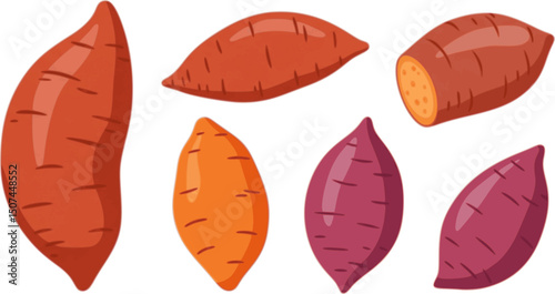 vector set of Baked potato, sweet potato illustration Shizuru, real, photo, autumn 