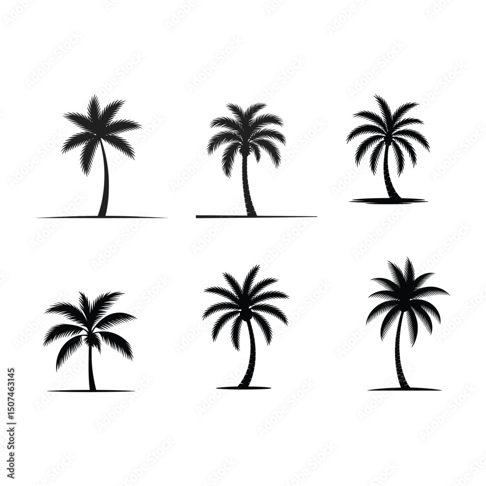 Fototapeta premium palm tree black and white