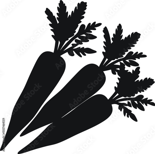Silhouette of Three Carrots with Lush Green Tops A Vector Illustration