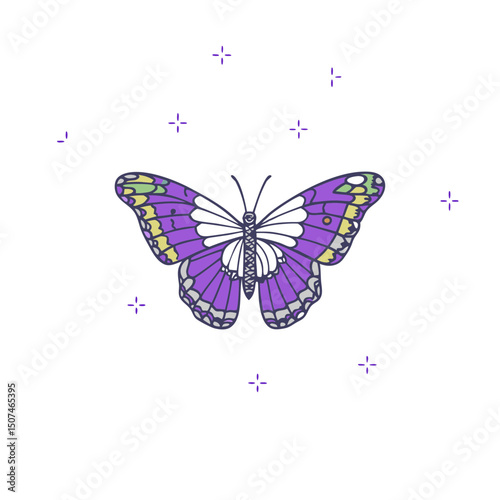 Butterfly Vector Illustration