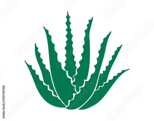 Aloe vera plant silhouette icon doodle hand drawn. Aloe vera logo drawing clipart symbol
