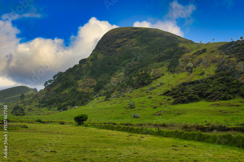 Steep hills and half wild horses at the mouth of the Kapowairua Stream on Spirits Bay (Piwhane), close to the northernmost point of North Island, New Zealand.
