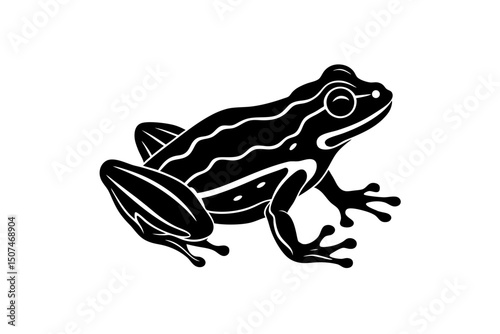frog on white background