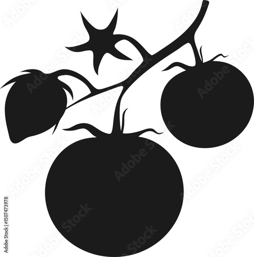 Silhouette of Tomatoes on the Vine A Simple, Elegant Vector Illustration