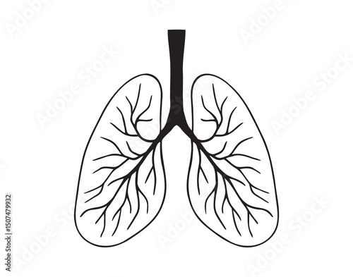 lungs icon doodle hand drawn. Outline lungs line drawing clipart symbol