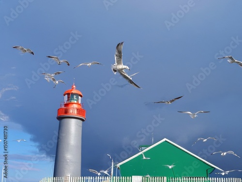 Seagulls flying around a lighthouse on a cloudy day