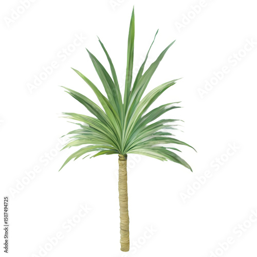 Palm Tree Illustration Lush Green Tropical Plant, Detailed Botanical Artwork