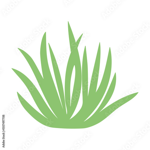 Fragments of green grass. A set of isolated bundles of grass.