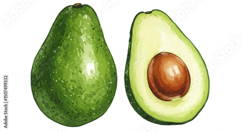 Fresh And Vibrant Watercolor Illustration Showcasing A Whole Avocado Alongside A Halved Avocado Revealing Its Pit Painted With Fluid Washes For A Natural Feel
