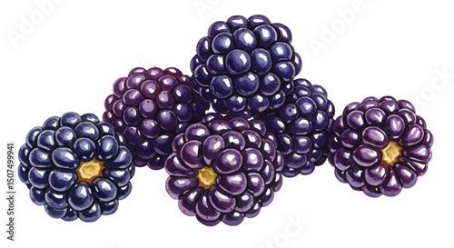 A Cluster Of Blackberries Are Depicted With A Watercolor Vector Style Creating A Fresh And Natural Ambiance Highlighting The Texture And Vibrant Colors