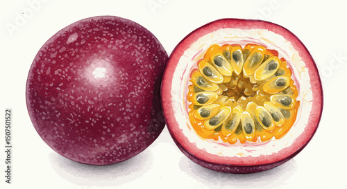 A Watercolor Painting Presents A Whole And A Halved Passion Fruit Showcasing The Fruits Vibrant Colors And Unique Seed Arrangement With Delicate Brushwork