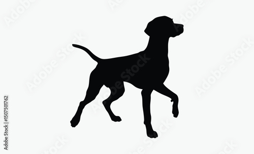 Dog Silhouette Vector Illustration