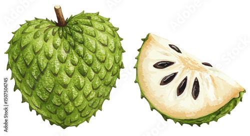 Watercolor Illustration Features A Whole Soursop With Its Textured Green Skin And A Halved Piece Revealing Seeds Rendered In A Soft Artistic Watercolor Style