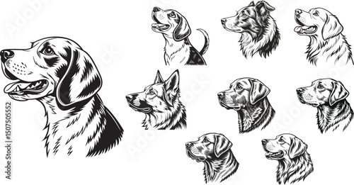 Nine dog breed portraits black and white isolated on transparent background