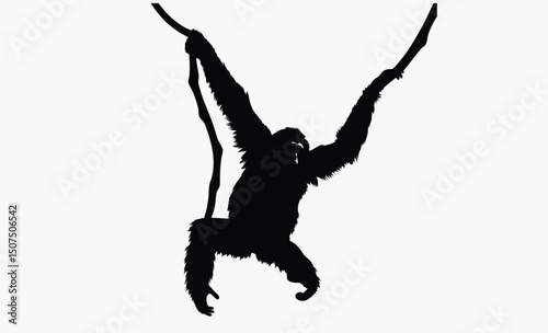 Monkey Swinging Silhouette Vector