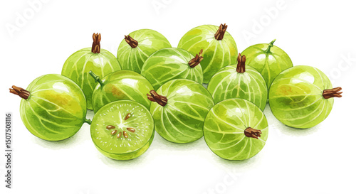 A Collection Of Watercolor Gooseberries Showcasing Varying Ripeness From Vibrant Green To Subtle Pink Rendered With Delicate Washes And Fine Textural Details