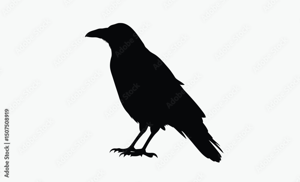 Obraz premium Crow Bird Silhouette Vector