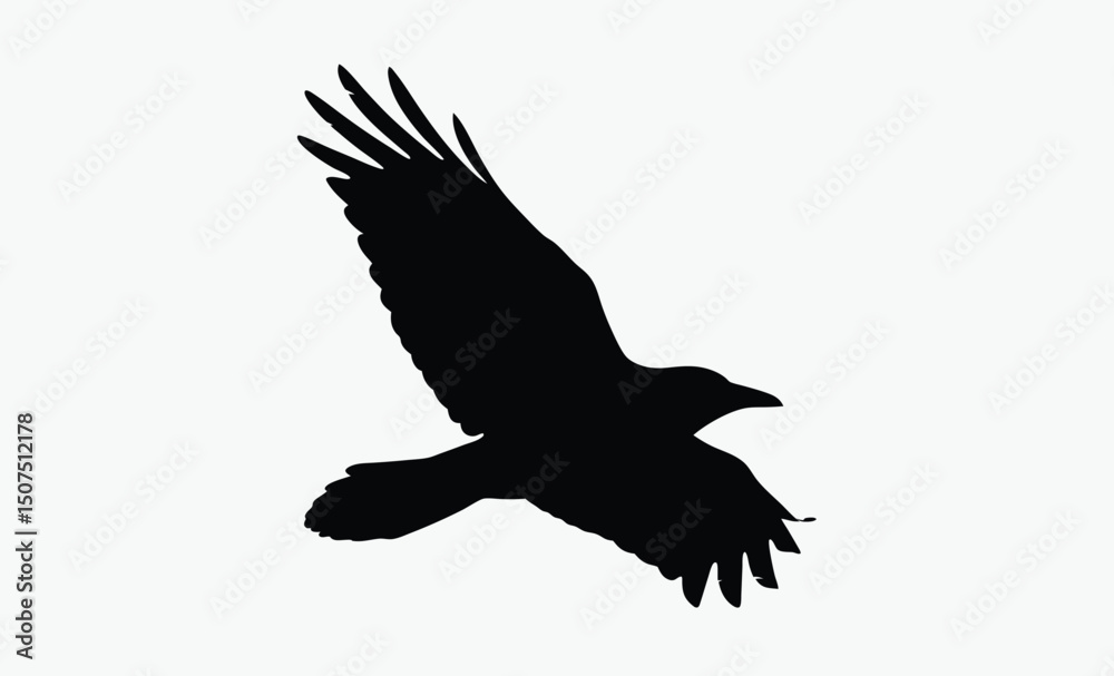Obraz premium Flying Crow Silhouette Vector