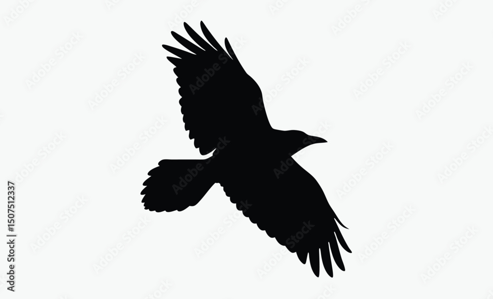 Obraz premium Flying Crow Silhouette Vector