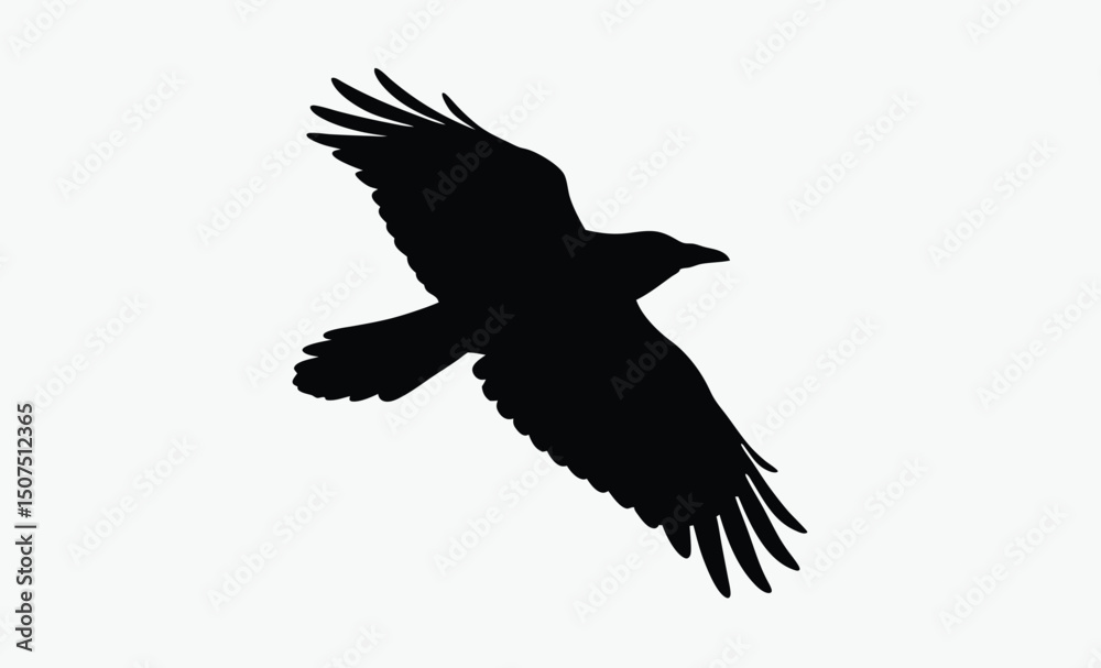 Obraz premium Flying Crow Silhouette Vector