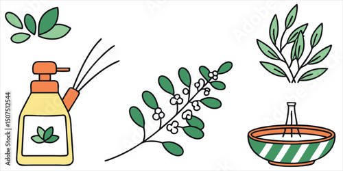Organic skincare product ingredients and preparations illustration
