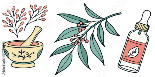 Herbal medicine theme illustration with mortar, pestle, tincture bottle and botanical sprigs
